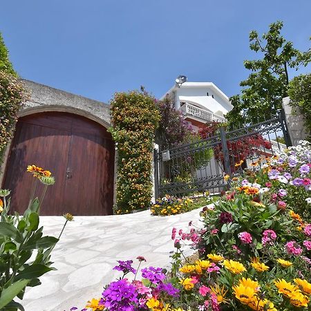 Apartments Biga Дони-Моринь Экстерьер фото